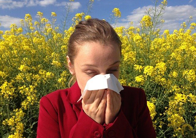 Popularne alergie – czym jest zapalenie błony śluzowej nosa?
